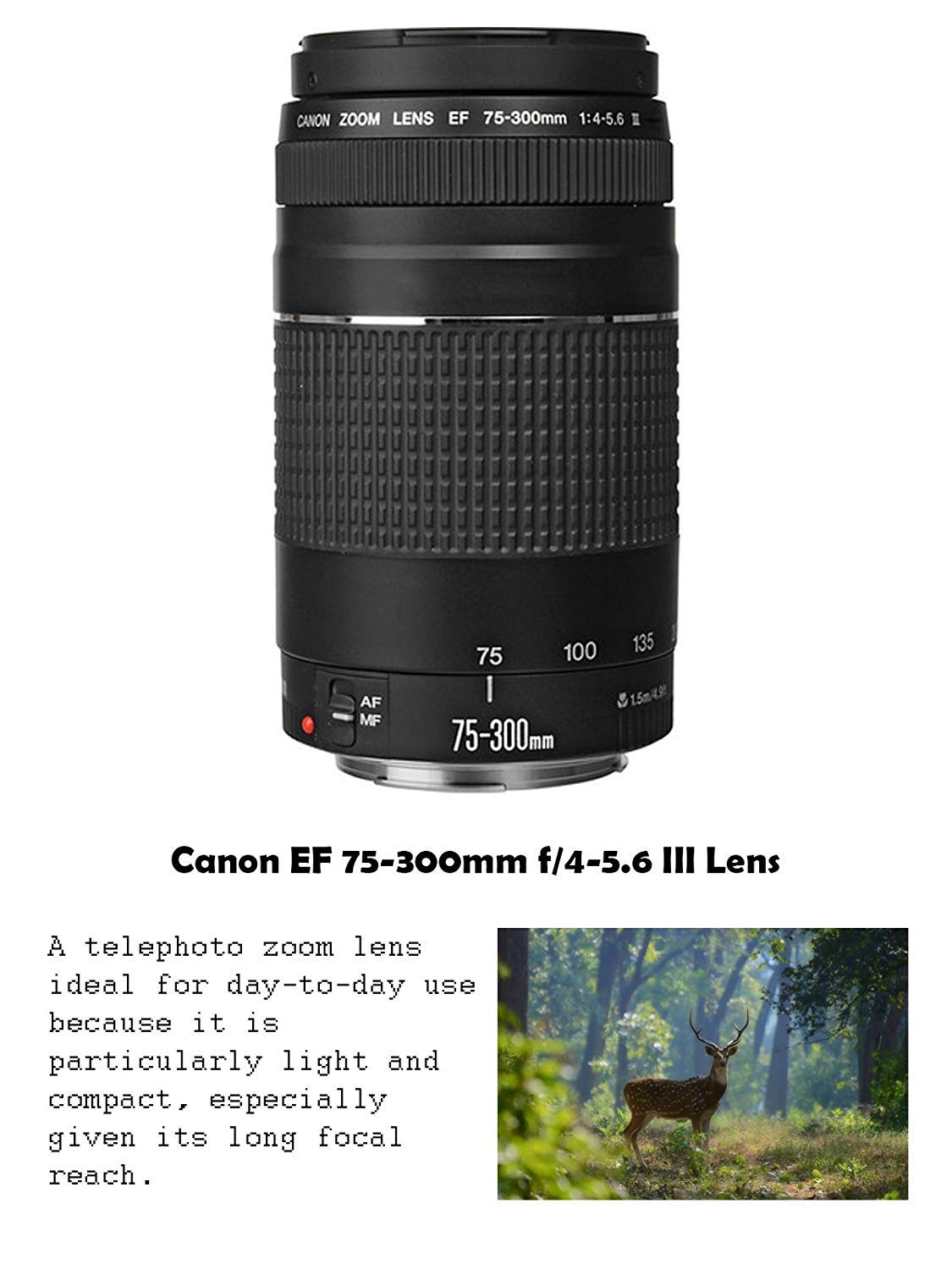 Amazon Canada: Canon EOS Rebel T7 DSLR Camera Bundle with Canon 18